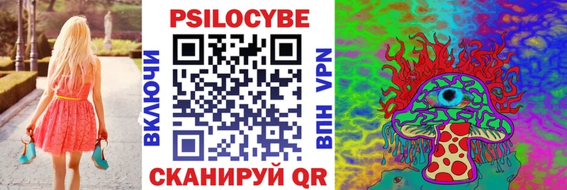 Купить где  Малоархангельск  Псилоцибиновые грибы Psilocybe 